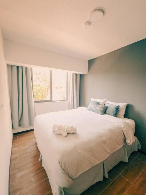 Entire Beautiful Condo With Rooftop Pool And Gym San Salvador Zewnętrze zdjęcie